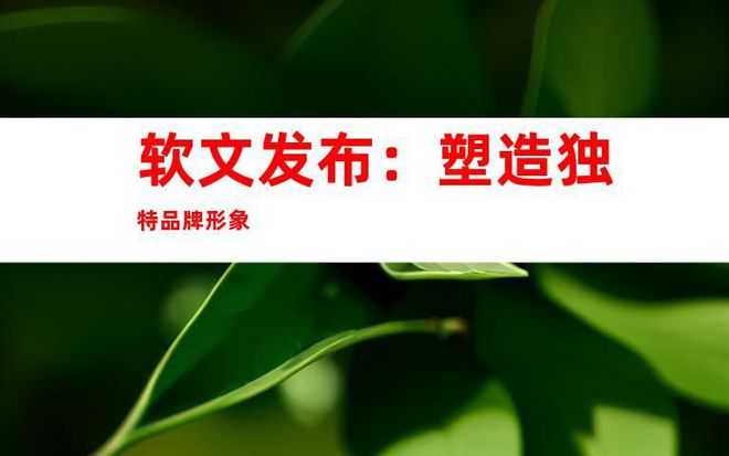 媒體網(wǎng)站推廣、軟文發(fā)布、網(wǎng)絡(luò)宣傳：文章全新的媒體發(fā)布渠道！