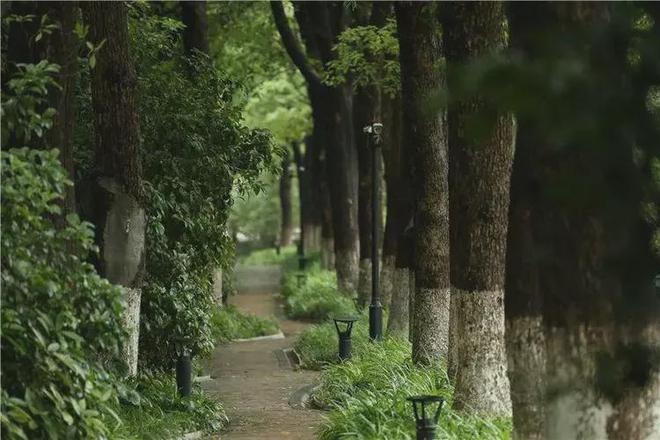 中鷹·黑森林-售樓處官方網站-百度百科-中鷹·黑森林-上海房天下(圖7)