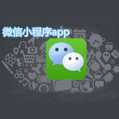 上海小程序開(kāi)發(fā)開(kāi)發(fā)力量圖鑒：聚焦需求尋找你的技術(shù)搭檔