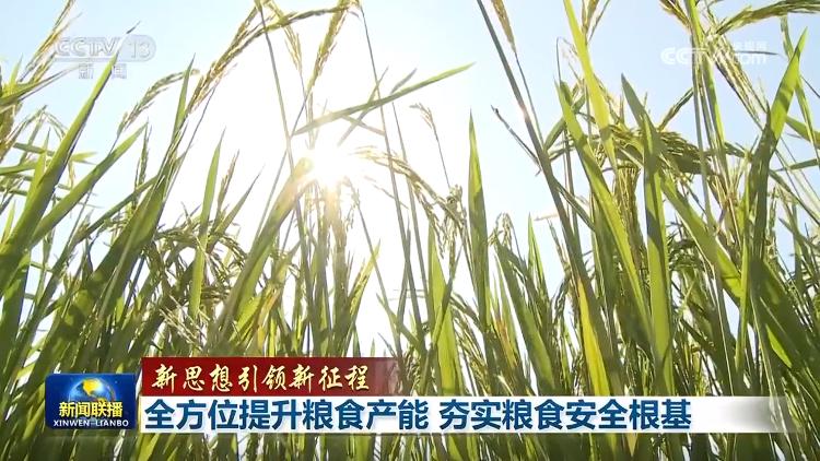 【新思想引領(lǐng)新征程】全方位提升糧食產(chǎn)能 夯實糧食安全根基(圖3)